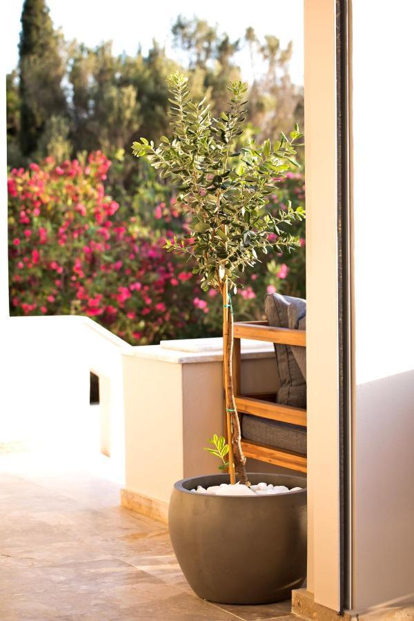 Horizon Hotel Kalymnos Myrties Exteriör bild